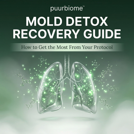 Mold Detox Recovery Guide: How to Get the Most From Your Protocol